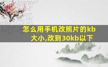 怎么用手机改照片的kb大小,改到30kb以下