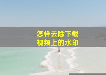 怎样去除下载视频上的水印