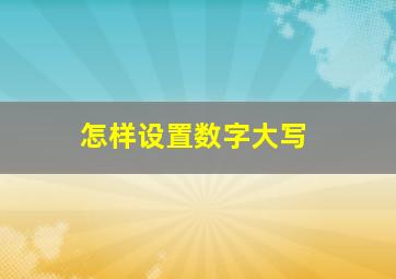 怎样设置数字大写