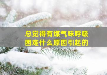 总觉得有煤气味呼吸困难什么原因引起的