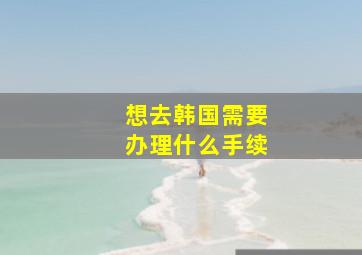 想去韩国需要办理什么手续