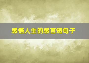 感悟人生的感言短句子