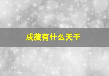 戌藏有什么天干