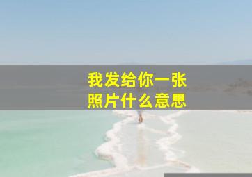 我发给你一张照片什么意思