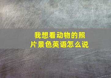 我想看动物的照片景色英语怎么说