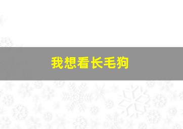 我想看长毛狗