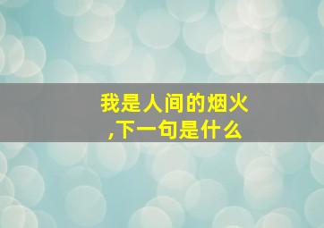 我是人间的烟火,下一句是什么