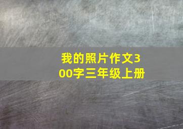 我的照片作文300字三年级上册