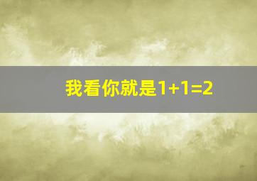 我看你就是1+1=2