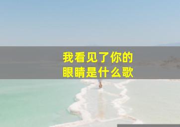 我看见了你的眼睛是什么歌