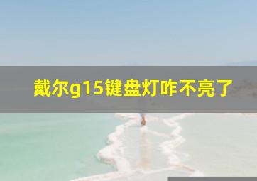 戴尔g15键盘灯咋不亮了