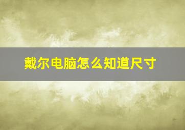 戴尔电脑怎么知道尺寸