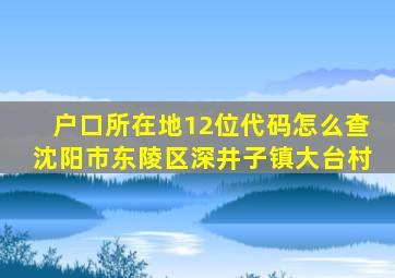 户口所在地12位代码怎么查沈阳市东陵区深井子镇大台村