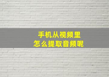 手机从视频里怎么提取音频呢