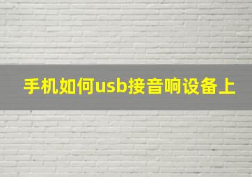 手机如何usb接音响设备上