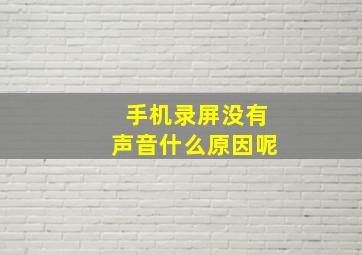 手机录屏没有声音什么原因呢