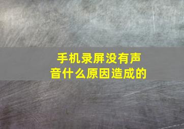 手机录屏没有声音什么原因造成的