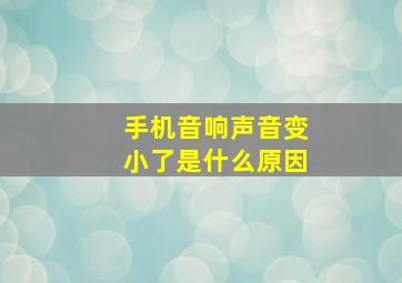 手机音响声音变小了是什么原因