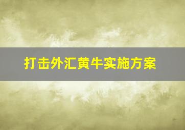 打击外汇黄牛实施方案