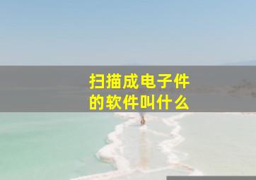 扫描成电子件的软件叫什么