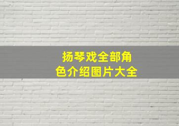 扬琴戏全部角色介绍图片大全