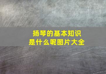 扬琴的基本知识是什么呢图片大全