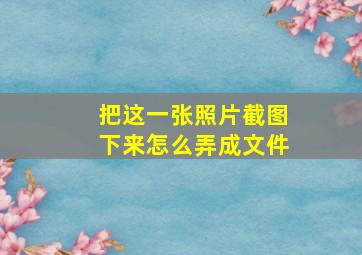 把这一张照片截图下来怎么弄成文件