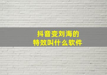 抖音变刘海的特效叫什么软件