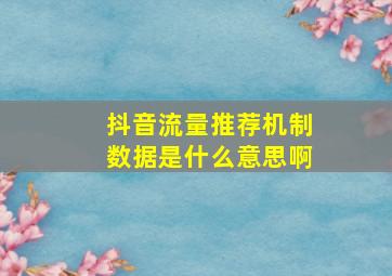 抖音流量推荐机制数据是什么意思啊