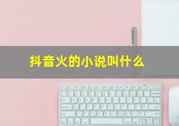 抖音火的小说叫什么