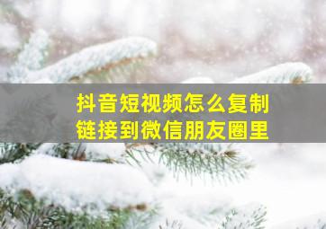 抖音短视频怎么复制链接到微信朋友圈里