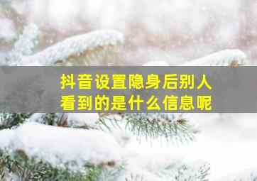 抖音设置隐身后别人看到的是什么信息呢