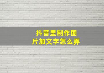 抖音里制作图片加文字怎么弄