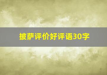 披萨评价好评语30字