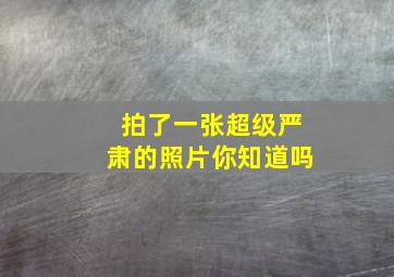 拍了一张超级严肃的照片你知道吗