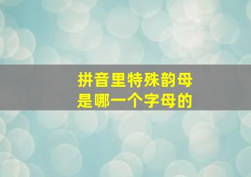 拼音里特殊韵母是哪一个字母的