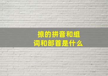 掠的拼音和组词和部首是什么