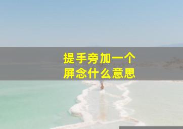 提手旁加一个屏念什么意思