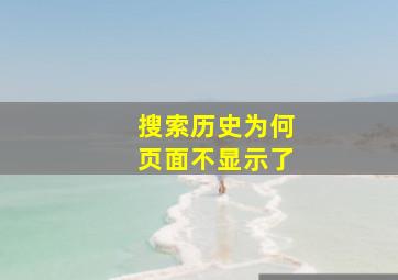 搜索历史为何页面不显示了