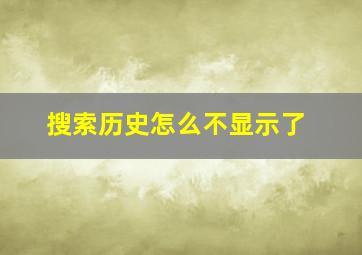 搜索历史怎么不显示了