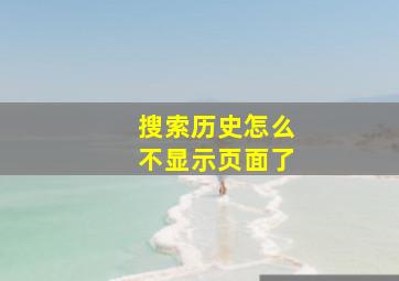 搜索历史怎么不显示页面了