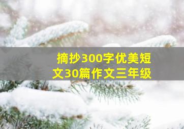 摘抄300字优美短文30篇作文三年级