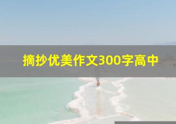 摘抄优美作文300字高中