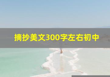 摘抄美文300字左右初中