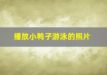 播放小鸭子游泳的照片