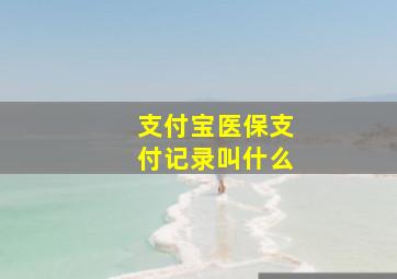 支付宝医保支付记录叫什么