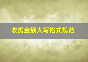 收据金额大写格式规范