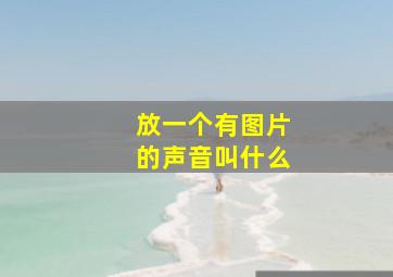 放一个有图片的声音叫什么