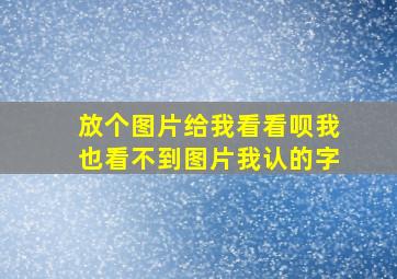 放个图片给我看看呗我也看不到图片我认的字