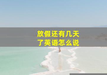 放假还有几天了英语怎么说